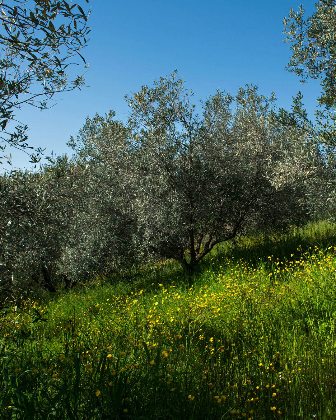 landscape photography